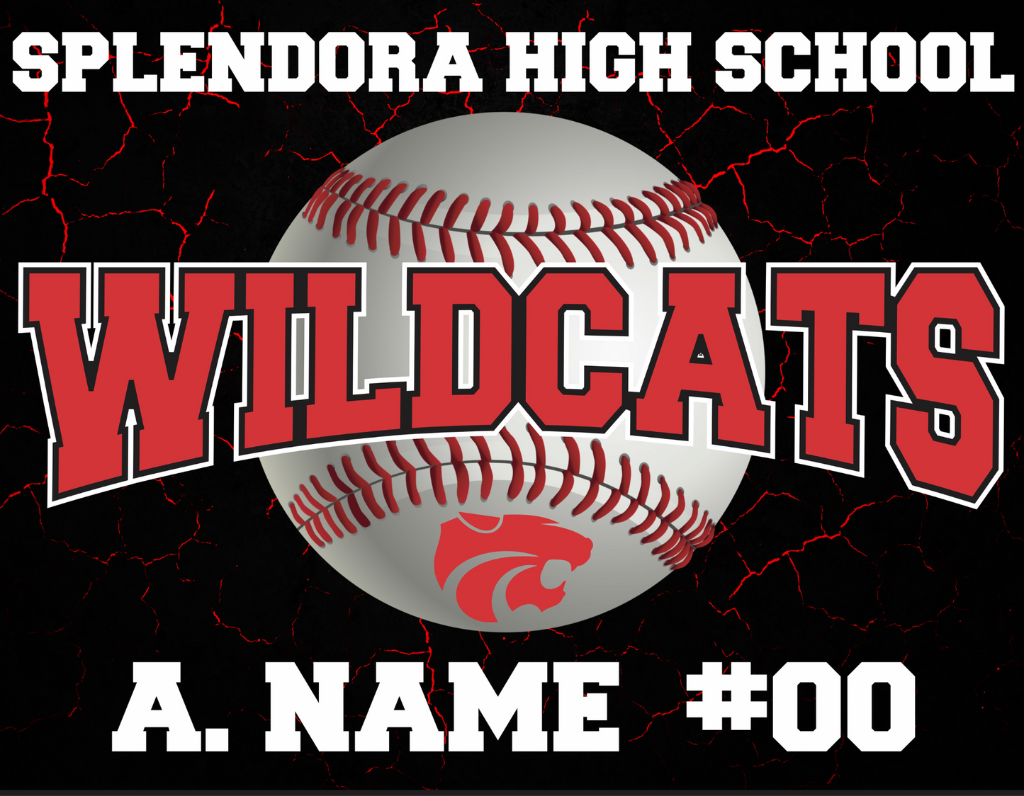 Baseball Sign